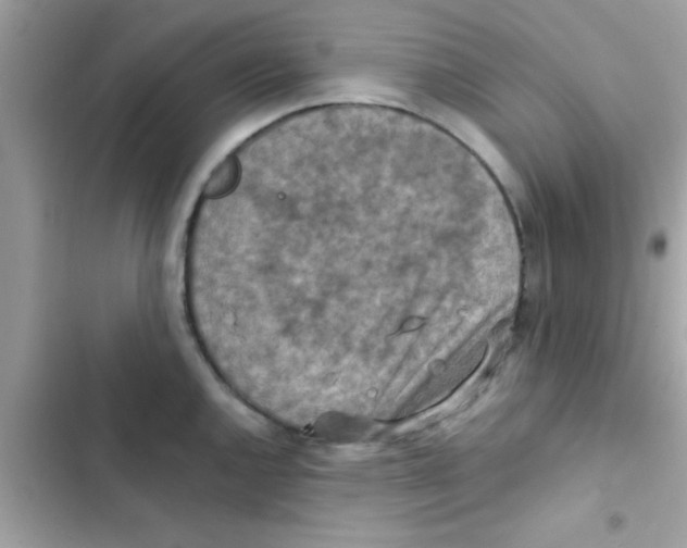 X0000103141144200809191959