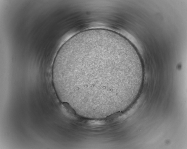 X0000103141145200809191959