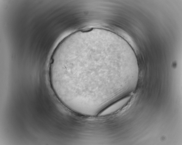 X0000103141146200809191959