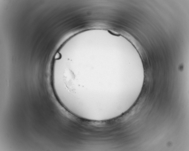 X0000103141147200809191959