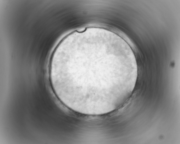 X0000103141148200809191959