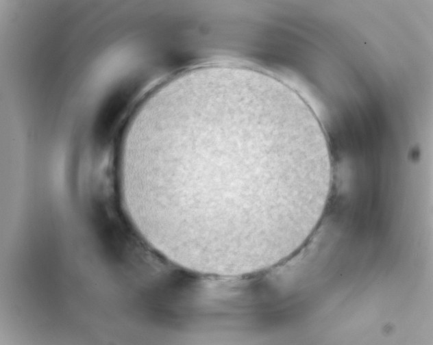 X0000103141150200809191959