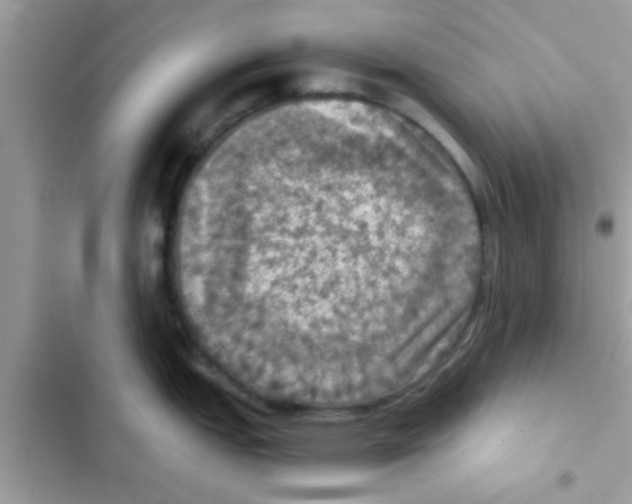 X0000103141151200809191959