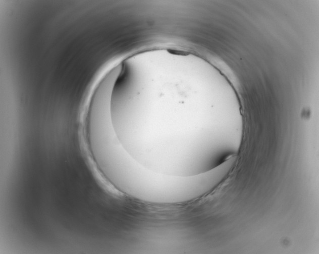 X0000103141152200809191959