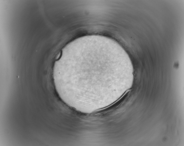 X0000103141153200809191958