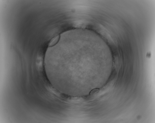 X0000103141154200809191958