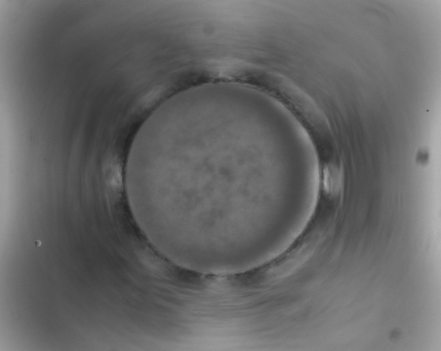 X0000103141155200809191958