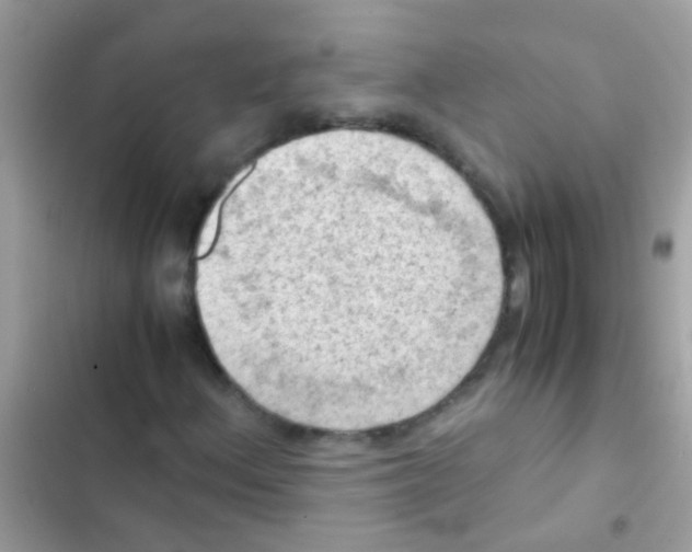 X0000103141156200809191958