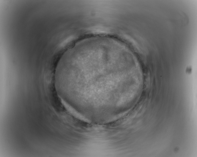 X0000103141157200809191958