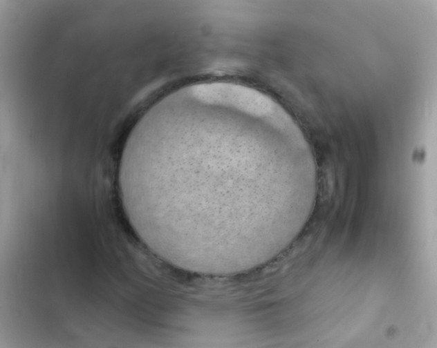 X0000103141158200809191958