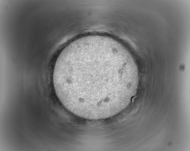 X0000103141159200809191958