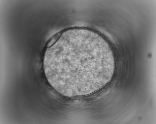 X0000103141160200809191958