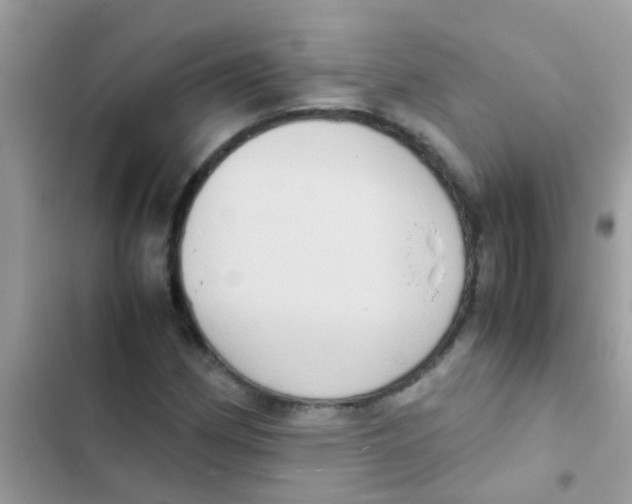 X0000103141162200809191958