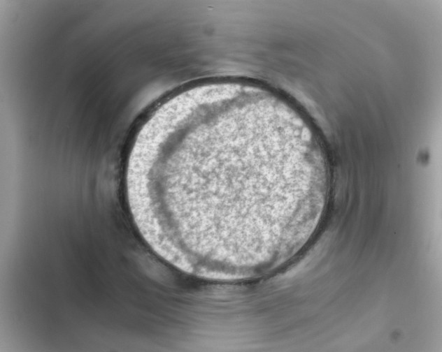 X0000103141163200809191958