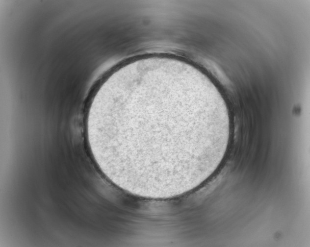 X0000103141164200809191958