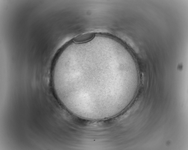 X0000103141165200809191958