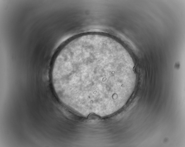 X0000103141166200809191958