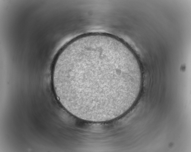 X0000103141167200809191958