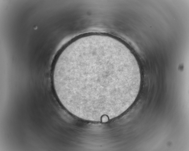 X0000103141168200809191958