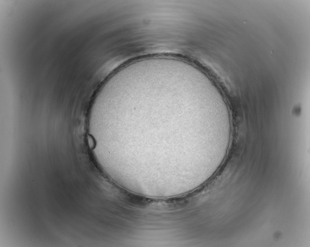 X0000103141169200809191958