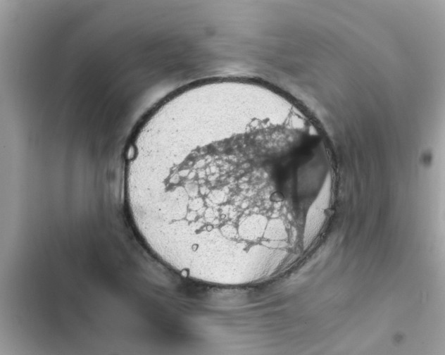 X0000103141171200809191958