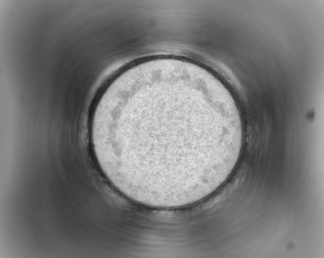 X0000103141172200809191958