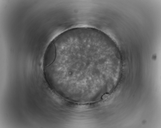 X0000103141173200809191958