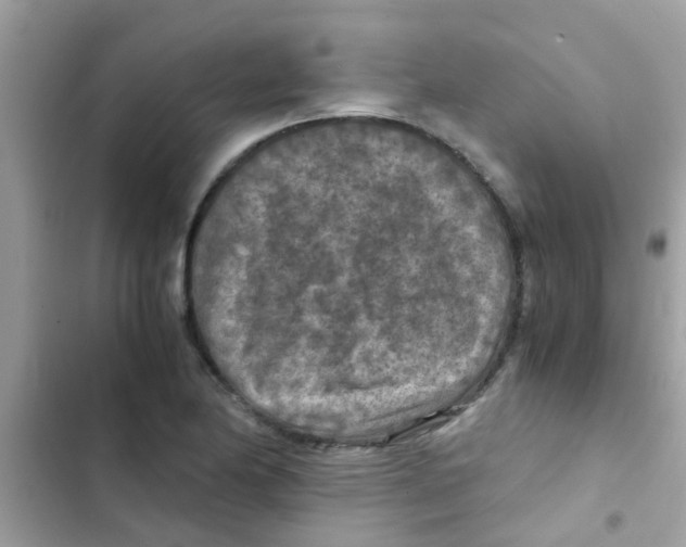 X0000103141174200809191958