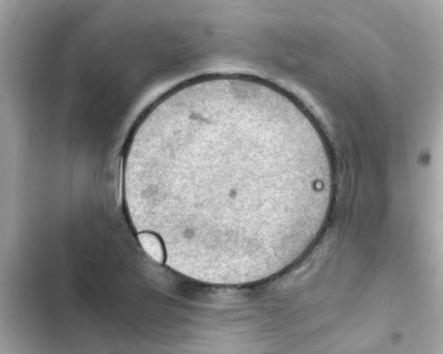 X0000103141175200809191958