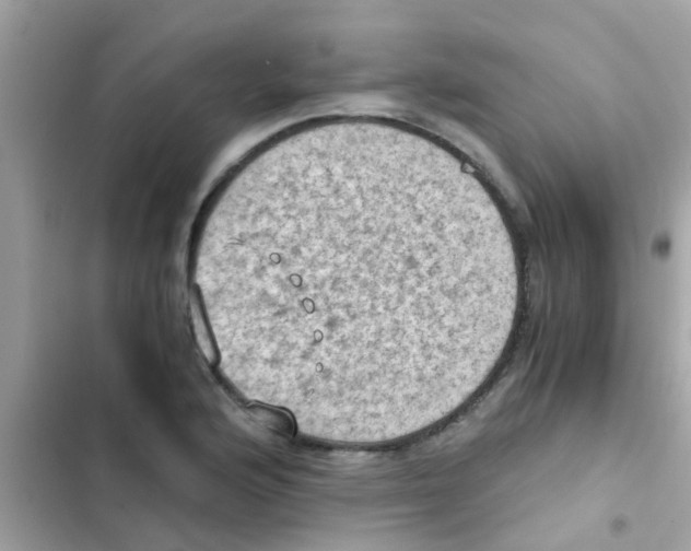 X0000103141176200809191958