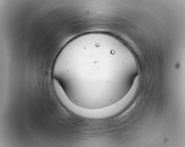 X0000103141177200809191958