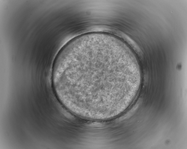 X0000103141178200809191958