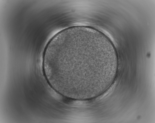 X0000103141179200809191958