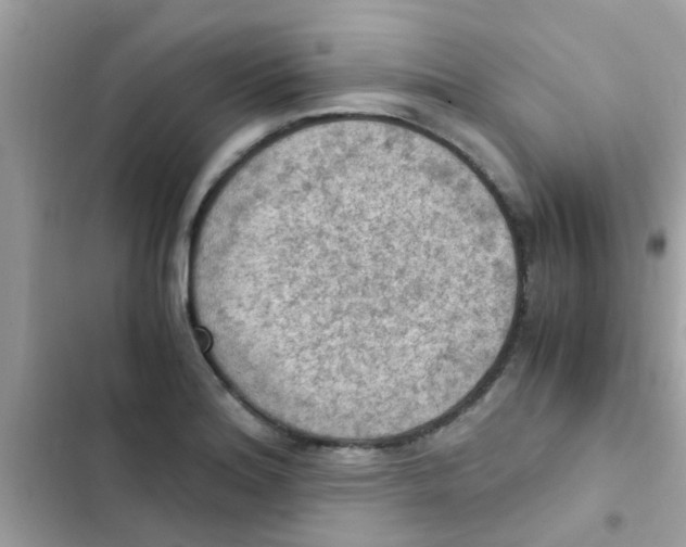 X0000103141180200809191958