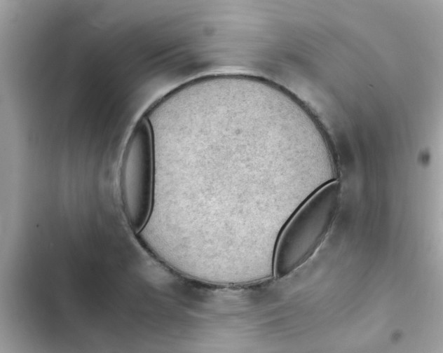 X0000103141181200809191958