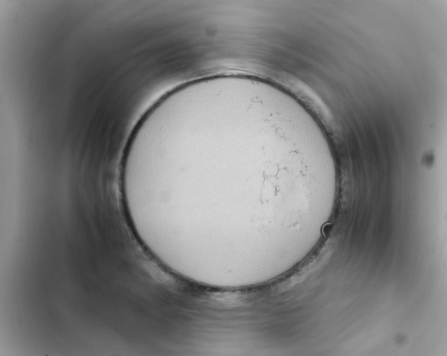 X0000103141182200809191958