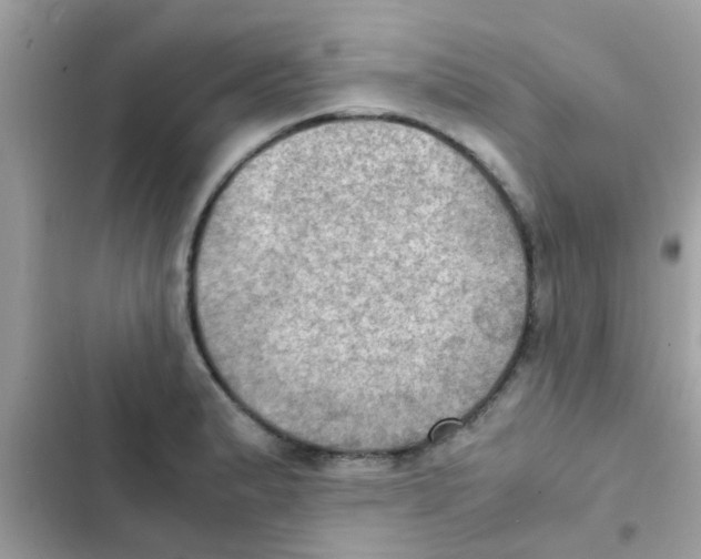 X0000103141183200809191958