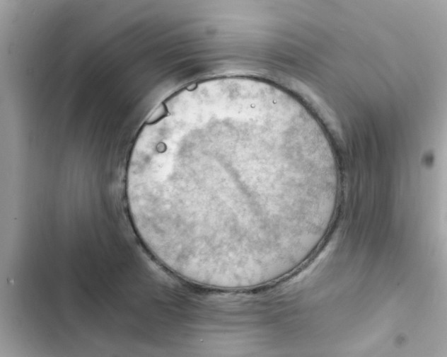 X0000103141185200809191958