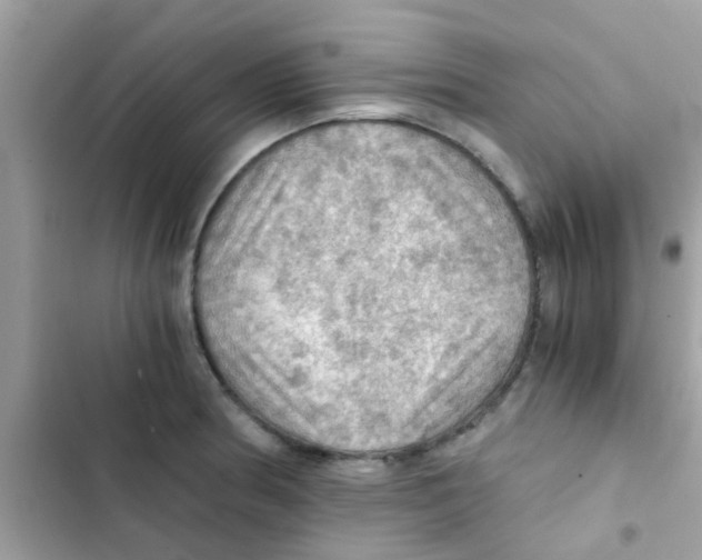 X0000103141186200809191958