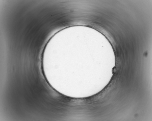 X0000103141187200809191958