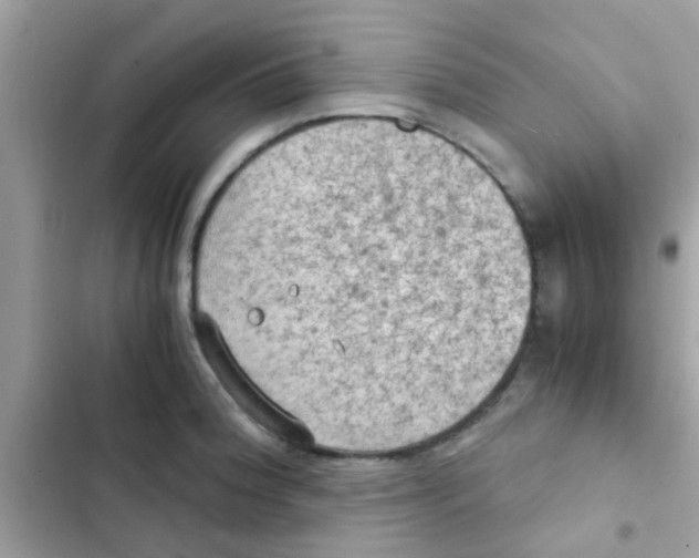 X0000103141188200809191958