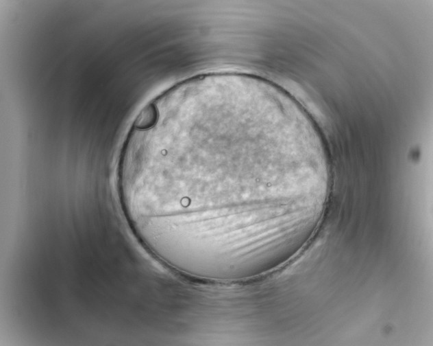 X0000103141189200809191958