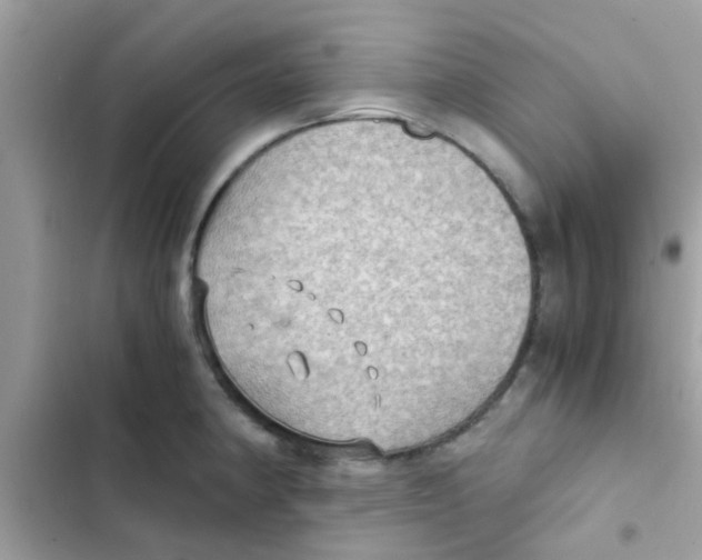 X0000103141190200809191958