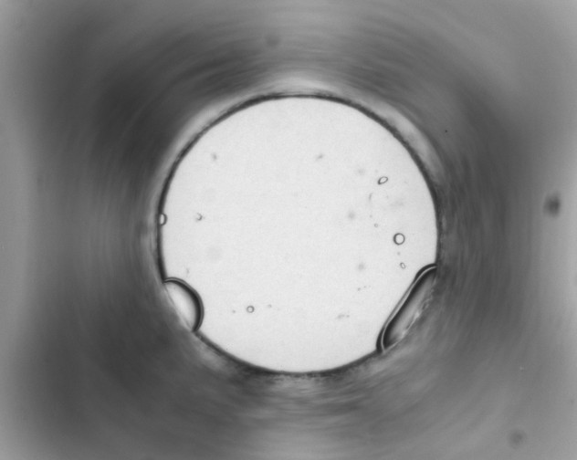 X0000103141191200809191958