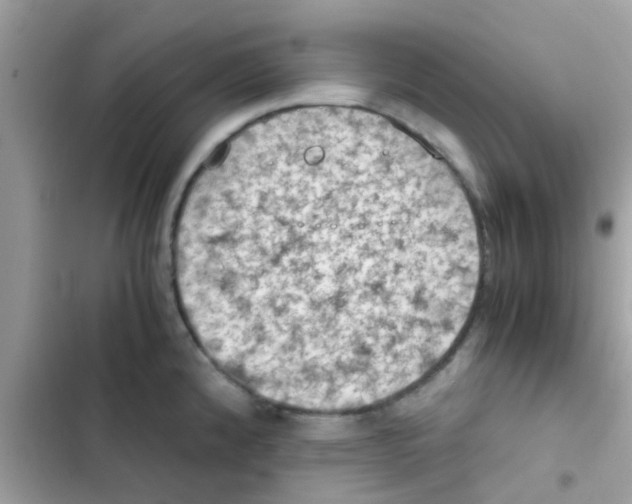 X0000103141192200809191957