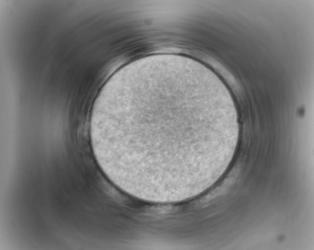 X0000103141193200809191957