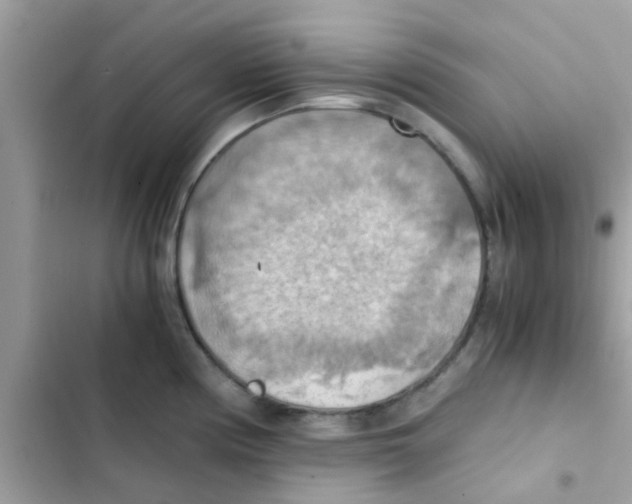 X0000103141194200809191957