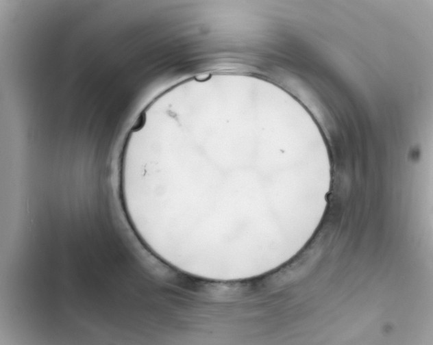 X0000103141195200809191957