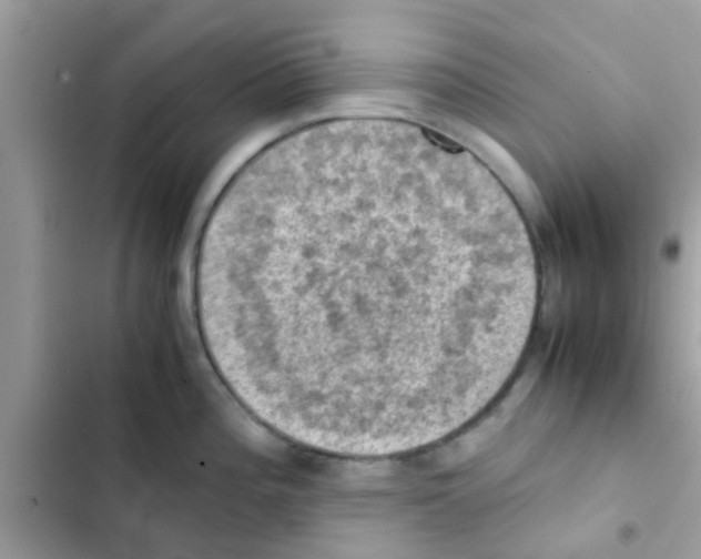 X0000103141196200809191957