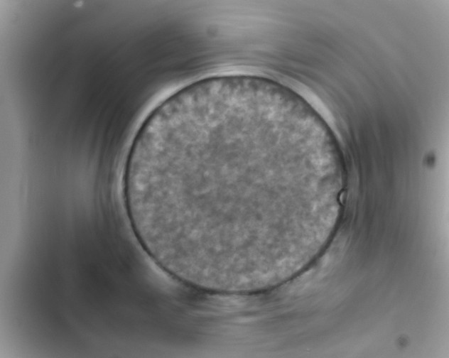 X0000103141197200809191957